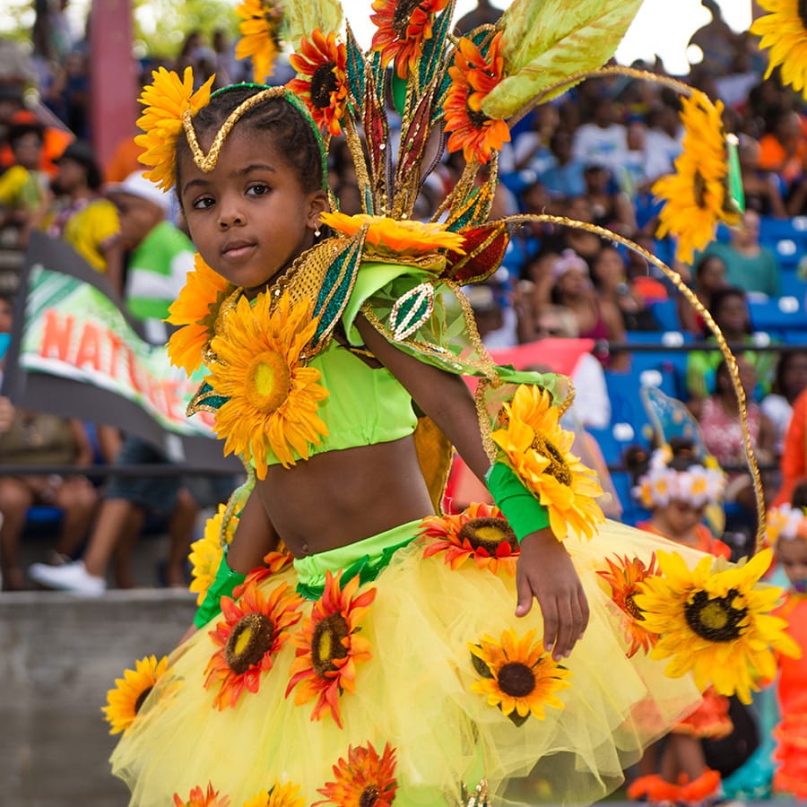 girl wearing colorful carnival costume